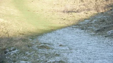 Winter to spring Stock Footage 85610421