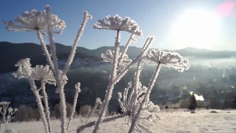 Winter spring sun mountain ice Stock Footage 72774251