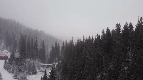 Winter spruce forest and mountains from air. Winter landscape. aerial drone shot Vídeo Stock 169159099
