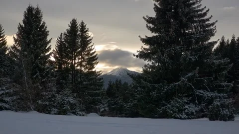 Winter in the spruce forest. At dusk, clouds overflow the rocky mountains. Stock-Footage 168417231