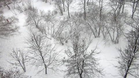 Winter square in the city Stock Footage 148524007