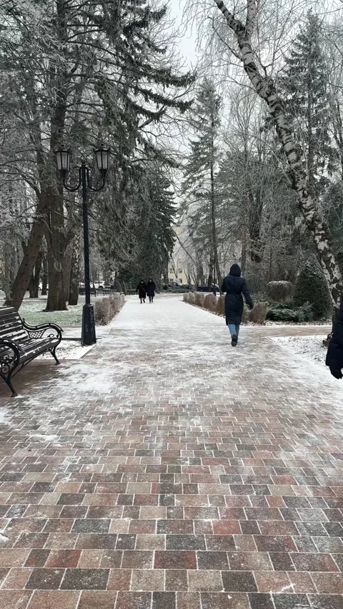Winter square in the city. People rush to work in winter.  Stock Footage 224232363