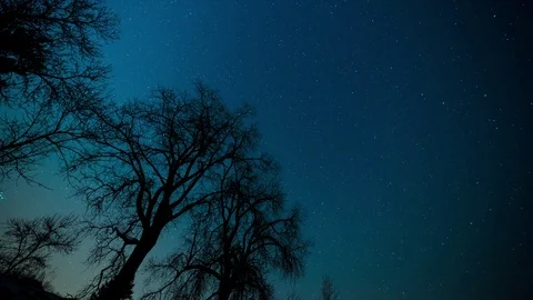 Winter Stars Vidéo 78315383
