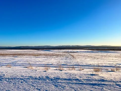Winter steppe landscape Foto stock