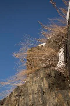 Winter stone rock Stock Photos