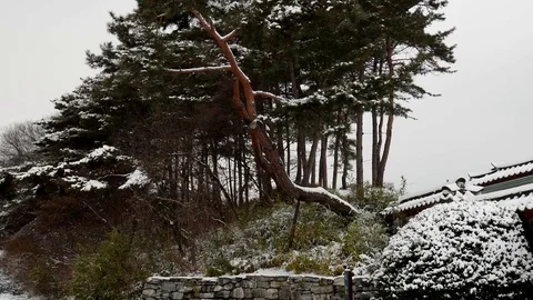 Winter stone wall: Stockbeeldmateriaal 80149533