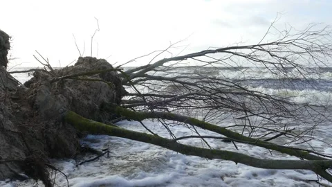 Winter Storm Affects Baltic Sea Coastal Erosion Stock-Footage 138378819