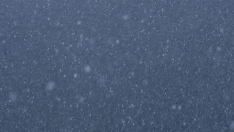 Winter Storm - Copious snowfall - Falling Snow in the day - Slow Motion 스톡 동영상 172445633