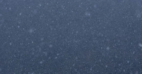 Winter Storm - Copious snowfall - Falling Snow in the day Stock Footage 172568637