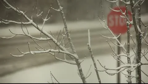Winter storm Stock Footage 11123176