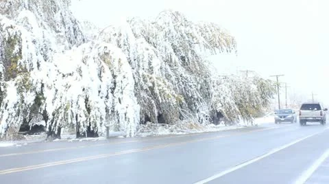 Winter storm Stock Footage 11628379