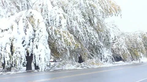 Winter storm Stock Footage 11628434
