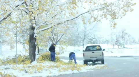 Winter storm Stock Footage 11628447