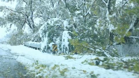 Winter storm Video stock 11628516