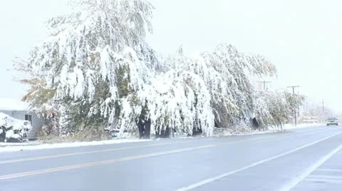 Winter storm Stock Footage 11635201