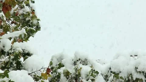 Winter storm Vidéo 12412934