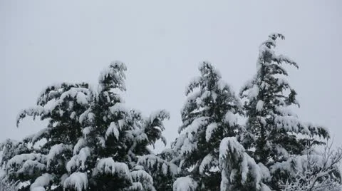Winter storm Stock Footage 22247077
