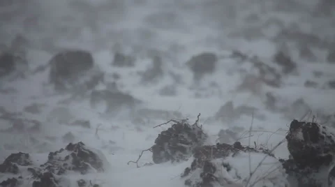 Winter storm Vidéo 46022199