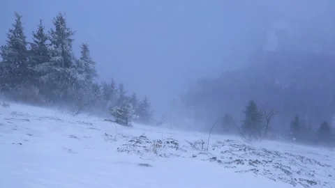 Winter storm Stock Footage 133505141