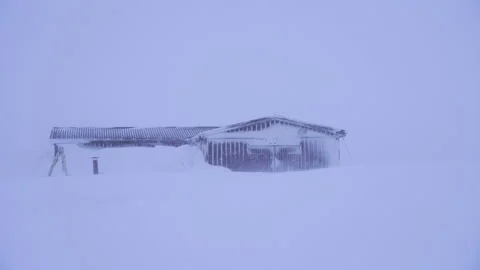 Winter storm Stock Footage 183795474