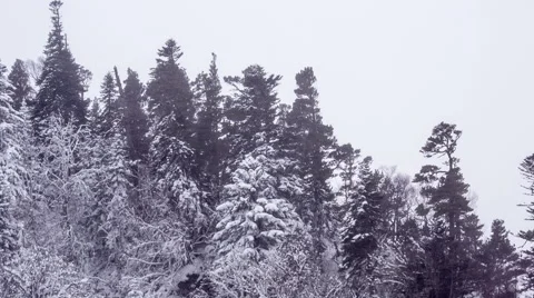Winter storm in mountains 스톡 동영상 52383522
