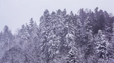 Winter storm in mountains Vídeo Stock 58321800