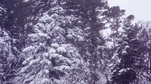 Winter storm in mountains 動画素材 58325038
