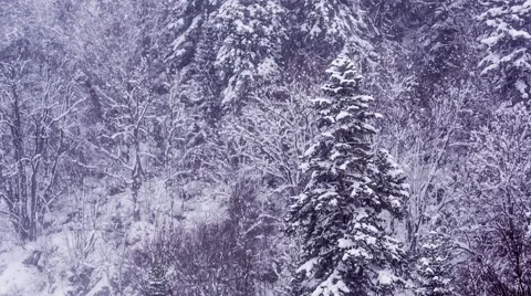 Winter storm in mountains Vídeo Stock 58325084