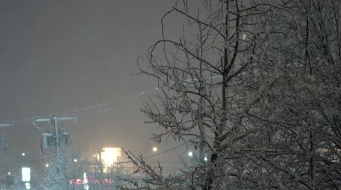 Winter Storm - Night Trees and Power Lines Stock Footage 44346527