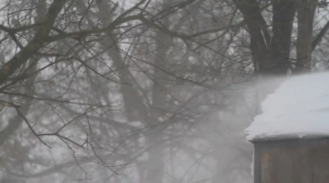 Winter storm snow blizzard Vidéo 1017575