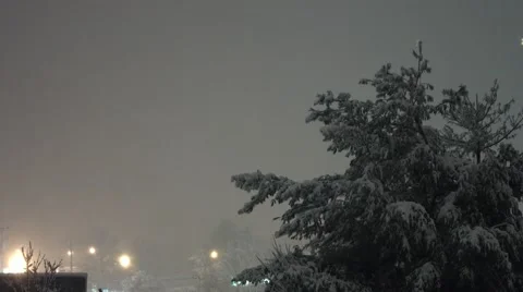 Winter Storm - Trees at Night Stock Footage 44346487