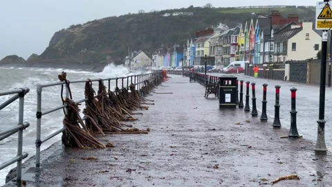 Winter Storm at Whitehead Stock Footage 148584797