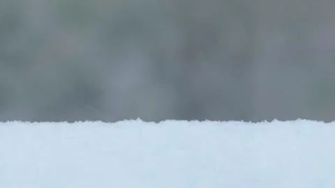 Winter storm in the woods Stock Footage 144420510