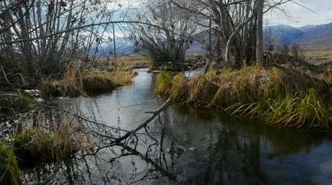 Winter Stream and Mountains Stock Footage