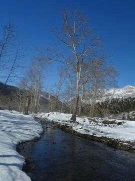 Winter Stream with Bare Trees and Snow under Blue Sky Stock Photos