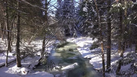 Winter stream in Canada Stock Footage 146873654