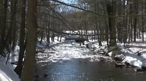 Winter stream with distint bridge Stock Footage 21443768