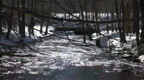 Winter stream with distint bridge timelapse Stock Footage 21440935