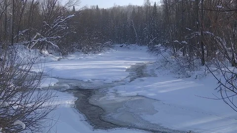 Winter stream flowing in the forest. Stock Footage 83264797