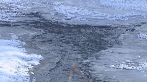 Winter stream flowing in the forest. Stock Footage 83264801