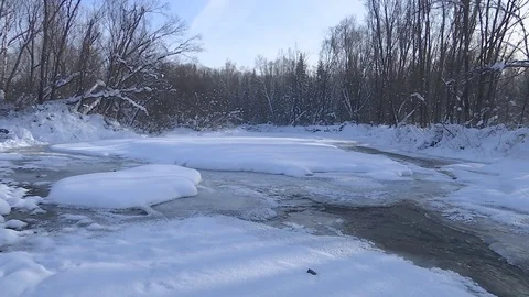 Winter stream flowing in the forest. Stock Footage 83264835