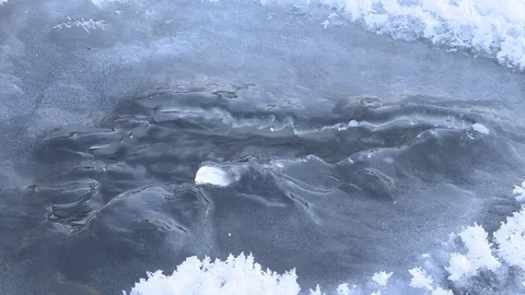 Winter stream flowing in the forest. 스톡 동영상 83264838
