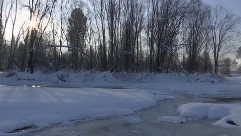 Winter stream flowing in the forest. 库存影片 83264927