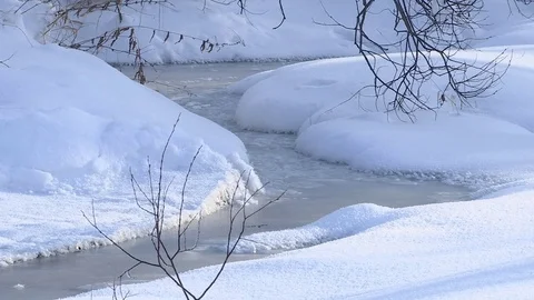 Winter stream flowing in the forest. 库存影片 83264958