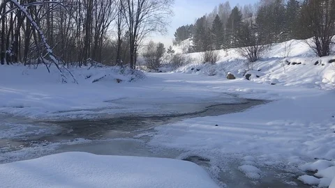 Winter stream flowing in the forest. Stock Footage 83265143