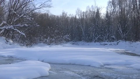 Winter stream flowing in the forest. Full HD. Stock Footage 83264881