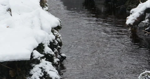 Winter stream flows Stock Footage 105544903