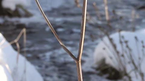 Winter stream Stock Footage 42547274