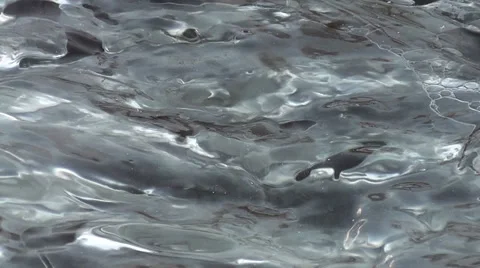 Winter stream Stock Footage 42547986