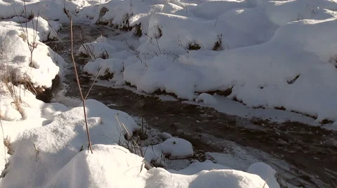 Winter stream Stock Footage 42548664